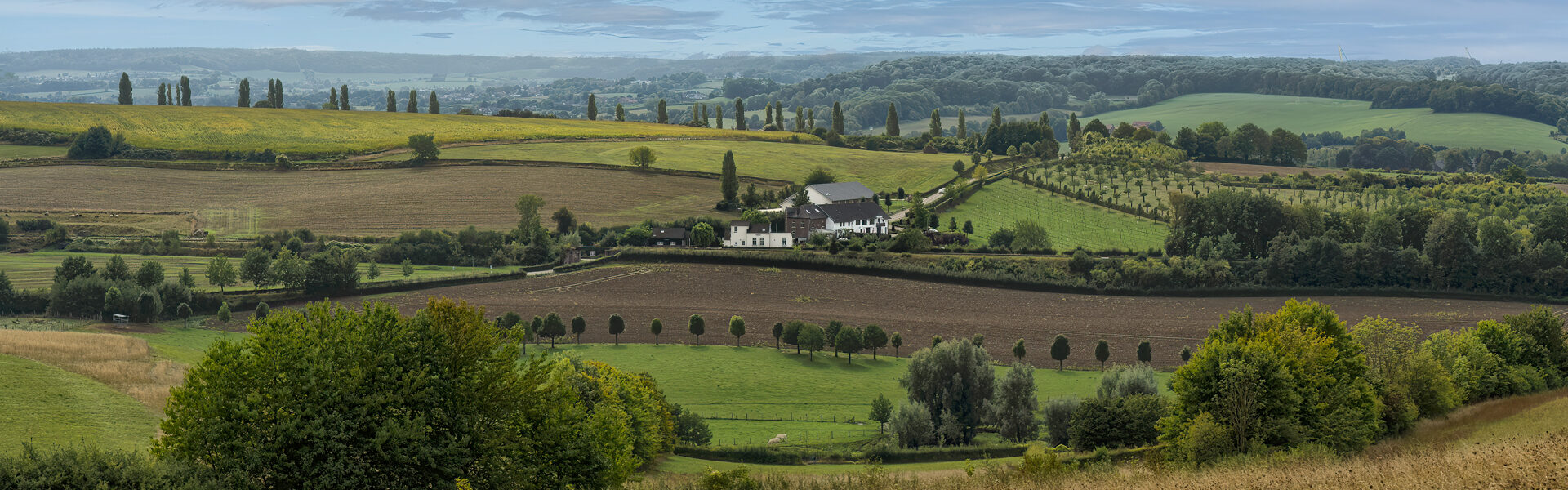 reinder.tasma@gmail.com